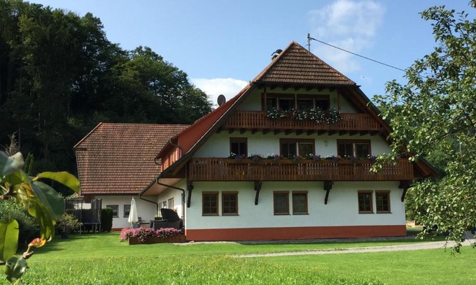 Gutach Apartment | Hof hinter der Mühle