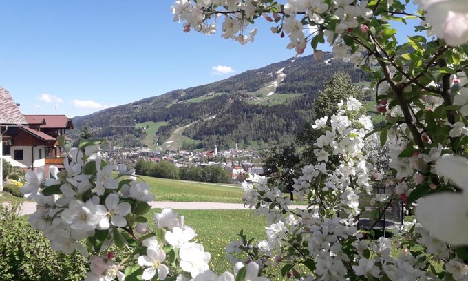 Schladming Apartment | Holdhäusl