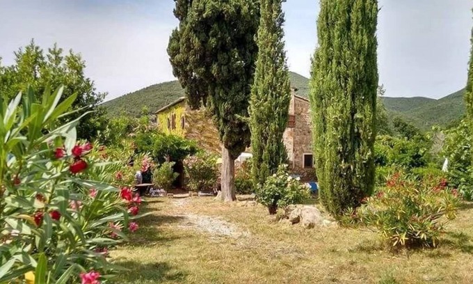 Castellina Marittima Apartment | Holiday apartment Castellina Marittima for 1 - 4 persons with 1 bedroom - Holiday apartment