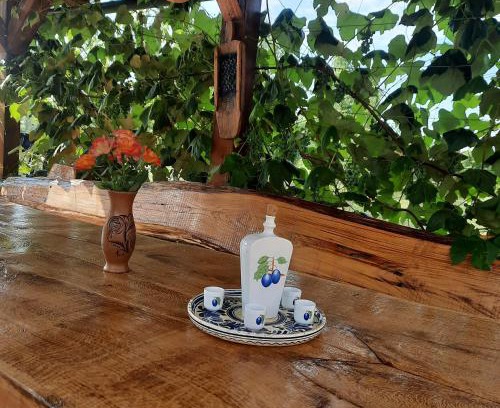 Cetingrad Apartment | Holiday Apartman Ravna Dolina