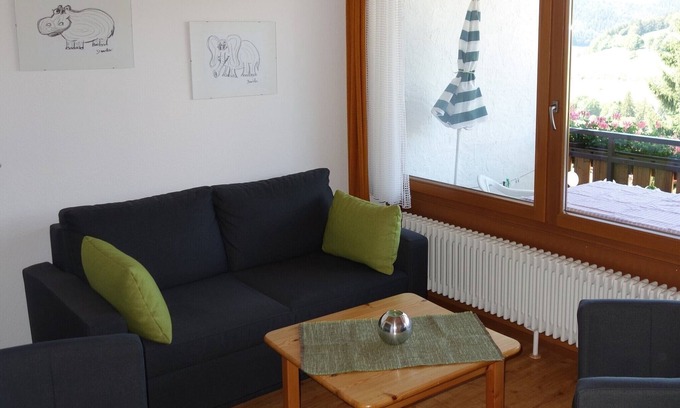 Todtnauberg Apartment | Holiday Apartment '2, 45 sqm' with Mountain View, Shared Terrace and Wi-Fi