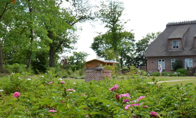 Kronsgaard Apartment | Holiday apartment Domstag "Kos"