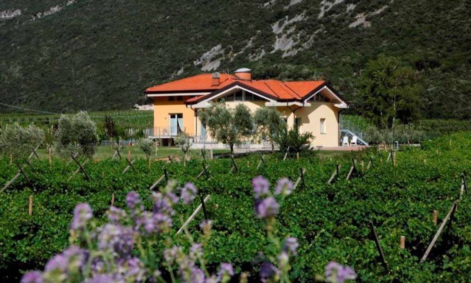 Ceniga Apartment | Holiday apartment in a sunny and quiet location surrounded by vineyards