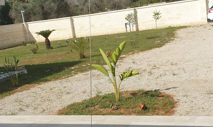 Leverano Apartment | Holiday home 7km from the Salento beaches