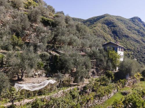 Molini di Triora House | Holiday Home Ca de Isodor by Interhome
