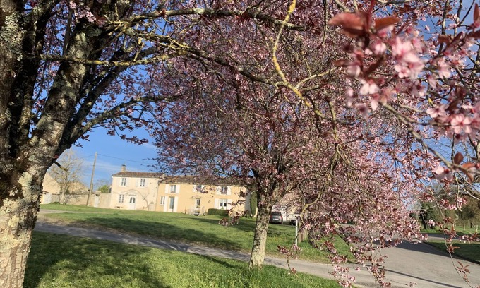 Montignac-Charente House | Holiday Home 'La Maison D’eloi' with Shared Pool, Private Terrace and Wi-Fi