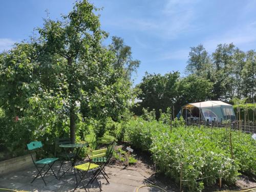 Scherpenzeel House | Holiday Home in Friesland with Greenhouse Charm