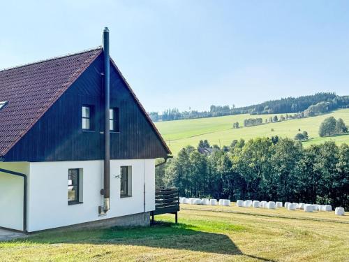 Starkov House | Holiday Home Stárkov by Interhome