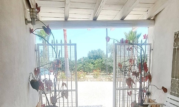 Silves House | Holiday house Algoz for 1 - 6 persons with 3 bedrooms - Holiday house