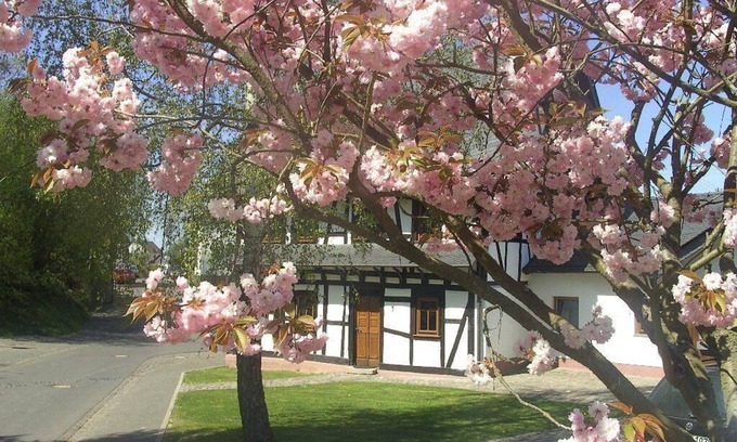 Frankweiler House | Holiday house Beltheim for 1 - 8 persons with 4 bedrooms - Holiday house