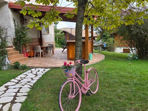 Pontone Apartment | Home & Garden