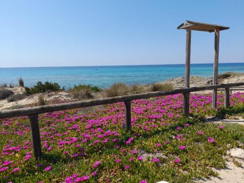 Morciano di Leuca House | Home Salento 2