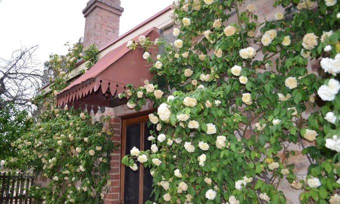 Gillentown Cottage | Homely Cottage nestled in the award-winning Heritage Garden