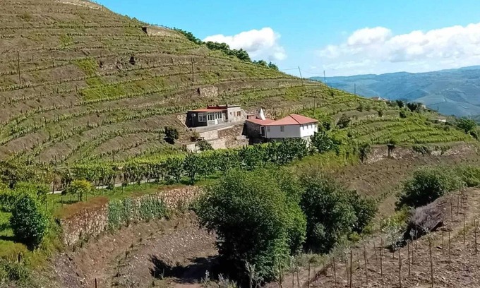 Lamego Villa | Homerez - Charming Villa with Pool in Lamego