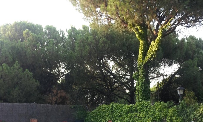 Las Jaras Villa | Homerez - Villa for 10 ppl. with swimming-pool, garden and terrace at Córdoba