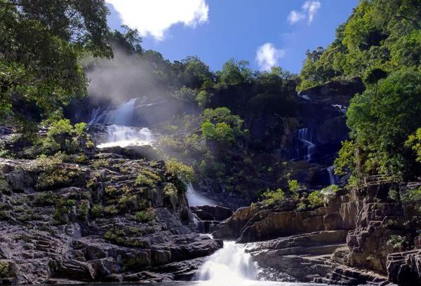 Rossville Other | HomeRule Rainforest Lodge Campgrounds