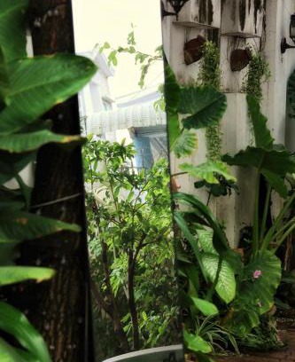 Ninh Kieu House | Homestay Cô Gái Việt