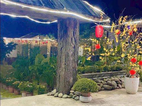 Moc Chau Bed & Breakfast | Homestay MỘC CHÂU ĐẶNG GIA