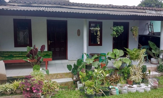 Borobudur Hotel | Homestay Wijaya Mulya
