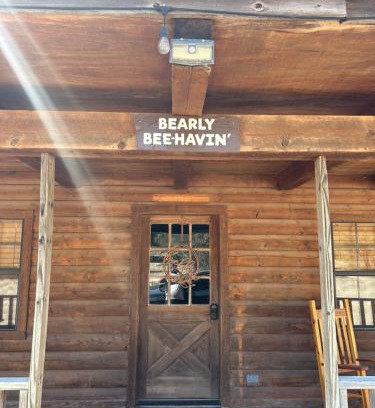 Concan House | HoneyComb Hideouts Bearly BeeHavin cabin