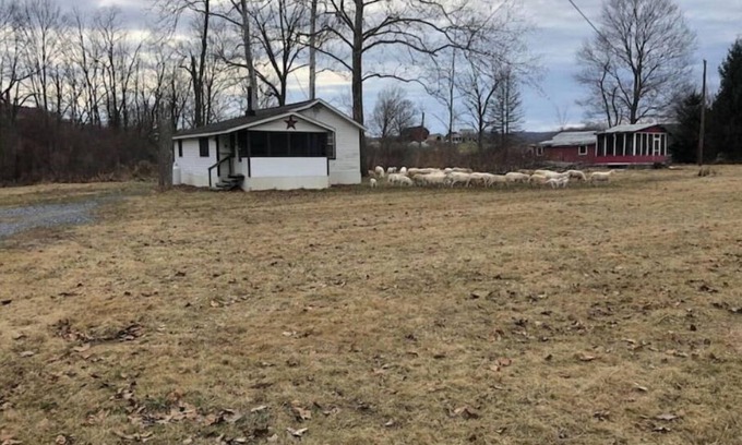 Manns Choice House | Horns Cabins - The Stargazer Cabin by the pasture