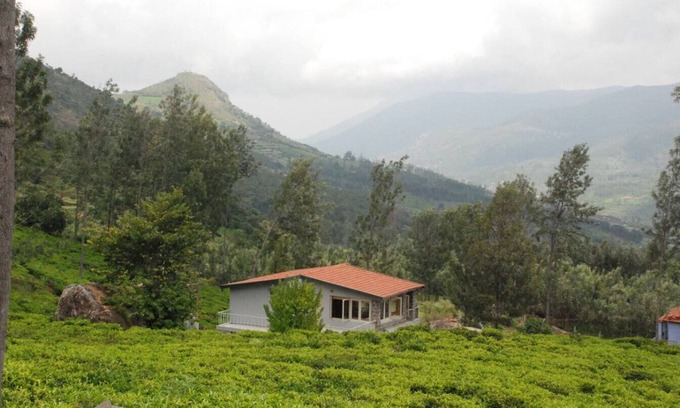 Wellington Apartment | Hospitality Expert TVE: BBQ, Bonfire & Chef