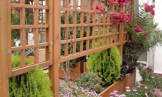 Sant Carles de la Rapita House | Hostal Agustí