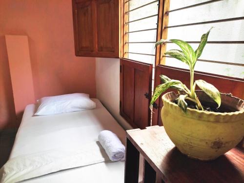 Santa Cruz de Mompox House | Hostal Casa La Candelaria
