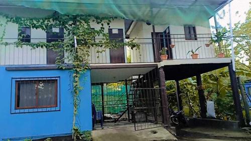 Moyogalpa Bed & Breakfast | Hostal Isla Natal
