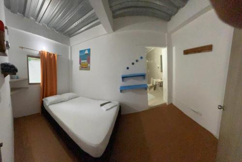 Palomino House | Hostal Paloma Café