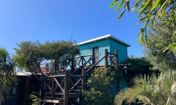 La Paloma Hostel | Hostel ∙ 8 guests