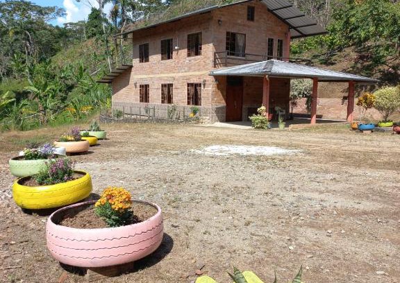 Ecuadorian Amazon House | Hostería Los Arbolitos