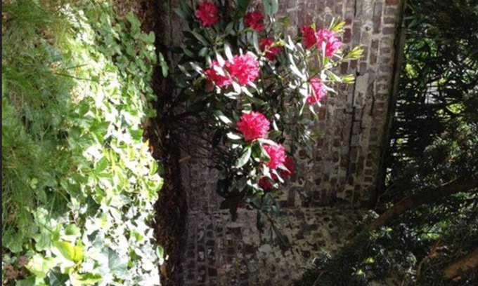 Pempelfort Hotel | Hotel Am Hofgarten