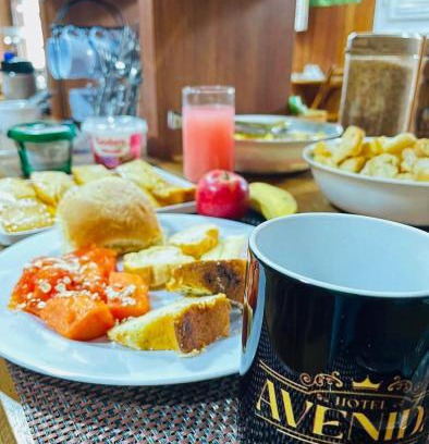 Nova Friburgo Hotel | Hotel Avenida