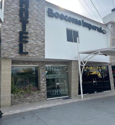 Bosconia Hotel | HOTEL BOSCONIA IMPERIAL