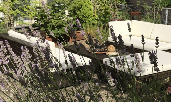 Pempelfort Hotel | Hotel Cascade