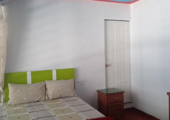 Oaxaca Hotel | Hotel Eucaliptos De Mauro