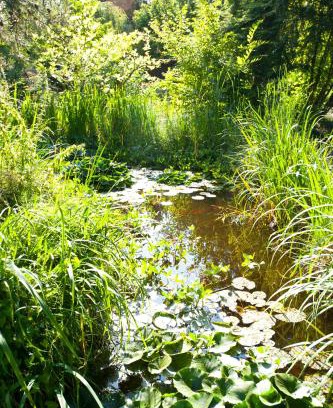 Grossgruendlach Hotel | Hotel Käferstein garni