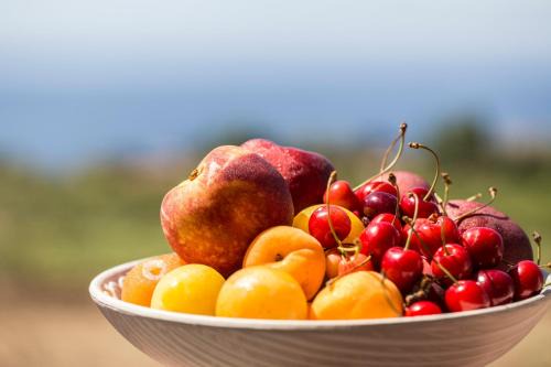 Ricadi Hotel | Hotel La Campagnola