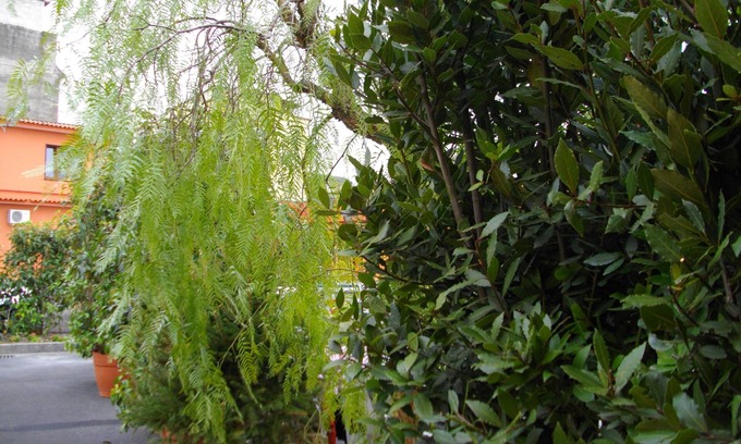 Zona Ospedaliera Hotel | Hotel La Corte