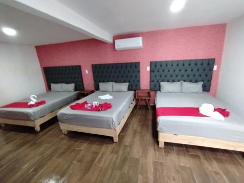 Anton Lizardo Hotel | Hotel La Intimidad