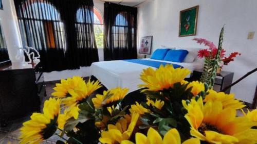 David Hotel | HOTEL OCCIDENTAL - DAVID CHIRIQUi