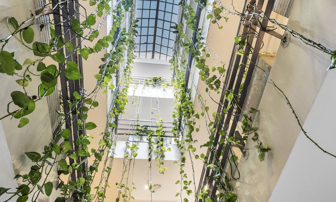 Suba Hotel | Hotel Picasso Inn