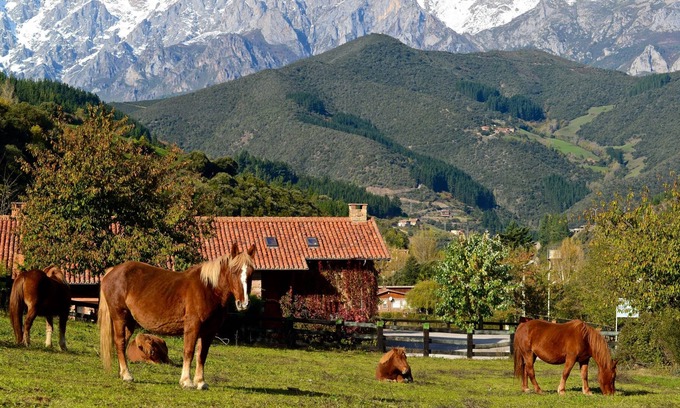 Frama Hotel | Hotel Posada la Casa de Frama