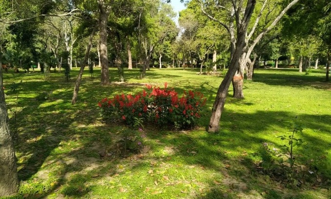 New Delhi Hotel | Hotel Traditional Inn