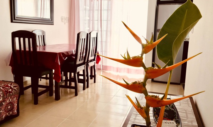 Villas Tulum House | House 18 FILRentas TULUM