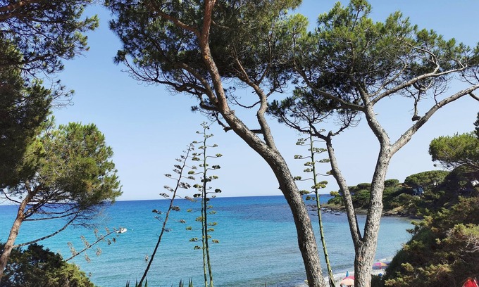 Sas Linnas Siccas Apartment | House Facing the Sea in Sas Linnas Siccas