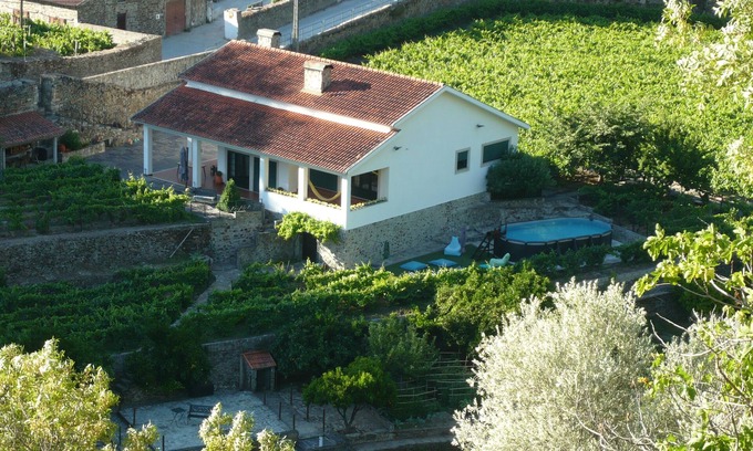 Bomfim Cottage | House Field in Pinhao, Portugal . On the bank of Pinhão River!