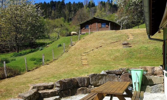 Rimbach-pres-Masevaux House | House in Rimbach Près Masevaux
