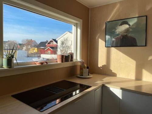 Andenes House | House in the center of Andenes
